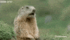 Hey GIF by hero0fwar