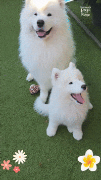 Summer July GIF