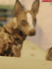 GIF by FirstAndMonday