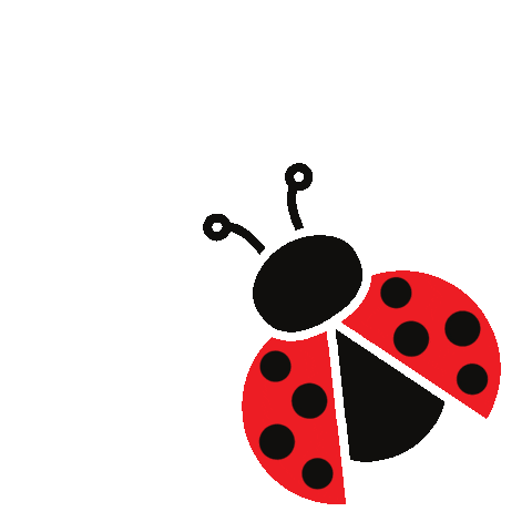 Insect Ladybug Sticker by entomologando