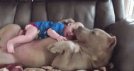 dog puppy GIF by arielle-m