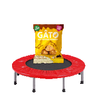 gatoandco bounce gato plant based trampoline Sticker