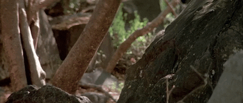 TheRetroCinema giphygifmaker GIF