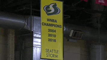 happy lets go GIF by WNBA