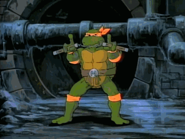 teenage mutant ninja turtles GIF