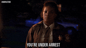 tv land police GIF by #Impastor