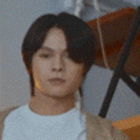 Tiger Mirror GIF by ViuTV