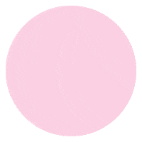 Ashley Longshore Cupcakes Sticker by Sprinkles
