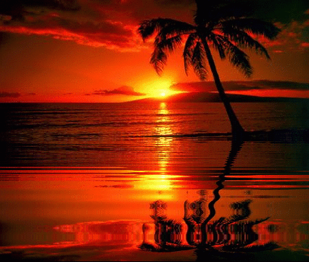 Sunset Aesthetic Warm Aftermoon GIF  GIFDBcom