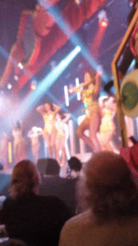 Bristol GIF by Stella 52