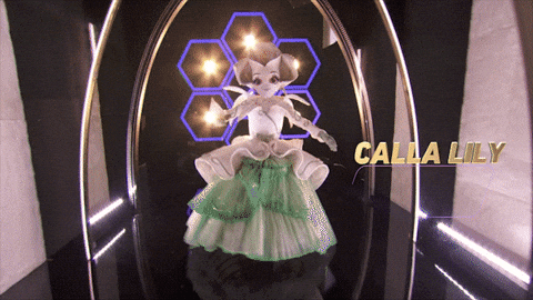 The Masked Singer GIF by Reality Club FOX