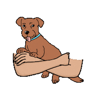 All Me Dog Sticker by BOYS WORLD