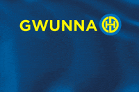 ice hockey fist bump GIF by Hockey Club Davos