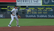 New York Yankees Sport GIF by MLB