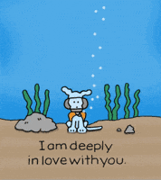 I Love You Dogs GIF by Chippy the Dog