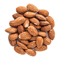 Almond Butter Almonds Sticker by MaraNatha Nut Butters