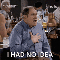 No Idea Mid Century Modern GIF by HULU