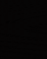 Tennis Go Cards GIF by Louisville Cardinals