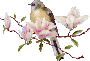 bird STICKER