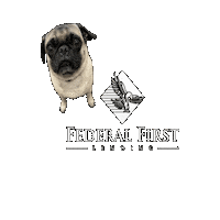 Chico Sticker by Federal First Lending