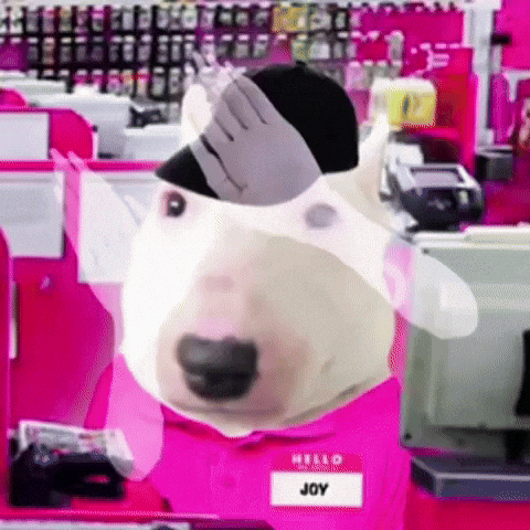 English Bull Terrier Pink GIF