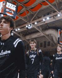 College Of Charleston Cougars GIF by Charleston Basketball