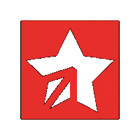 GYMSTARDE fitness star gym gymstar Sticker