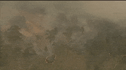 australia wildfires australia fires GIF