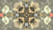 Art Film GIF by jorgemariozuleta