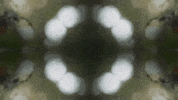 Art Film GIF by jorgemariozuleta