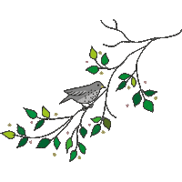 Illustration Wine Sticker by Weingut Masser