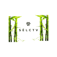 Selctv Apparel Sticker by SELCTV