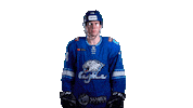 Hockey Box Sticker by barys_official