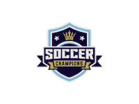 Football Soccer Sticker by Soccerchampions Academy