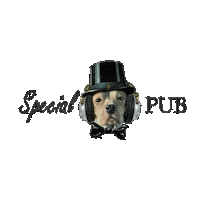 Special Pub Sticker by giovanniSXV
