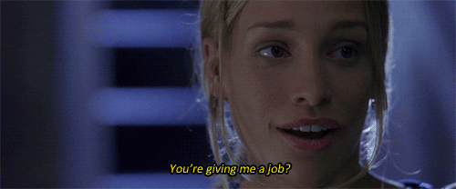 coyote ugly GIF