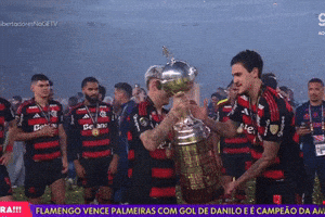 Libertadores GIF