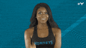 Honey Bee Dance GIF by Charlotte Hornets