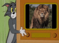 Fear Tom GIF