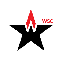 Sticker by Web Stars Channel