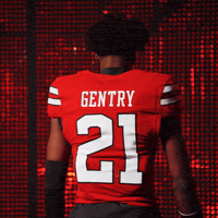 Red Raiders GIF by Texas Tech Football