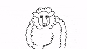 Biggiegils_animation biggiegils silly sheep crazy sheep screaming sheep GIF