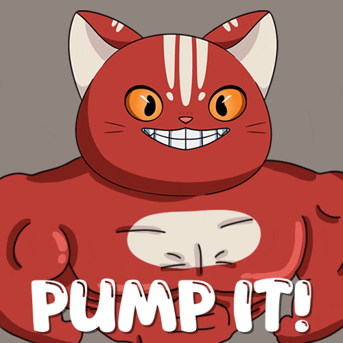 Fitness Lol GIF by Kitaro World