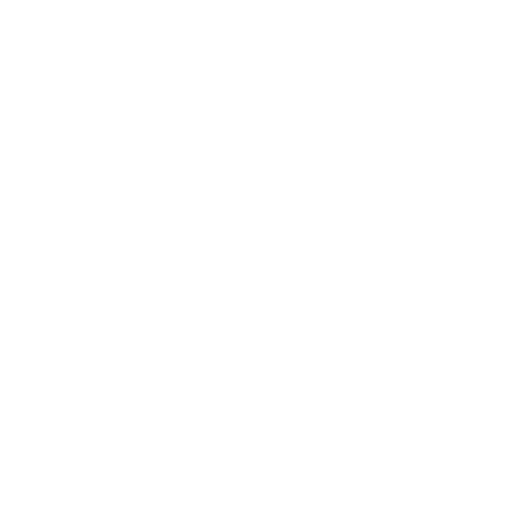 Demonstration Sticker by Partizán