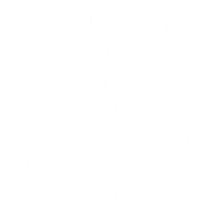 Primor Sticker by Neon Coco