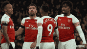 celebrate premier league GIF by Arsenal