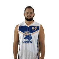 Basketball Sticker by Levharti