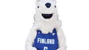 National Team Sport Sticker by Basket_fi