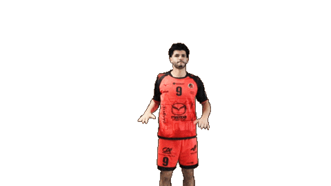 Handball Dragon Sticker by HCCA