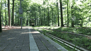 Brussels Tramway GIF by STIBMIVB